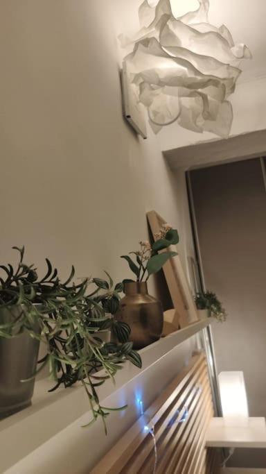 Appartement - Brando Екстериор снимка